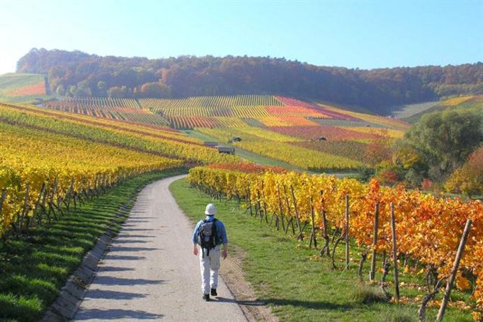 Foto: djd/Kraichgau-Stromberg Tourismus e.V.