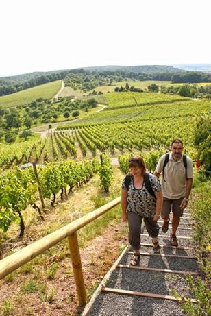 Foto: djd/Kraichgau-Stromberg Tourismus e.V.