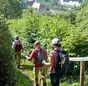 Foto: djd/TV Franken/A. Hub/Tourist-Information Schweinfurt360°
