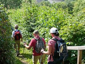 Foto: djd/TV Franken/A. Hub/Tourist-Information Schweinfurt360°