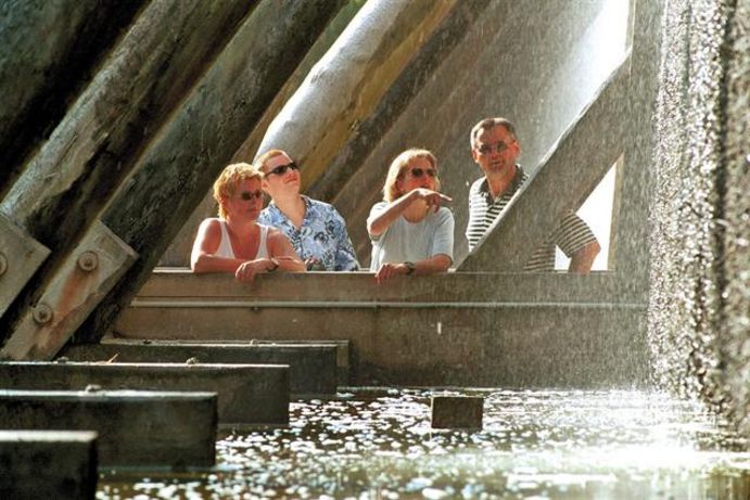 Foto: djd/TourismusMarketing Niedersachsen