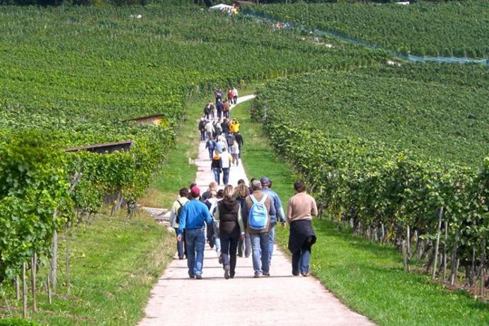 Foto: djd/Kraichgau-Stromberg Tourismus e.V.